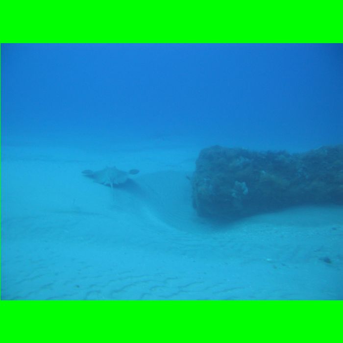 Dive WP Wrecks 25-Oct-09_347.JPG
